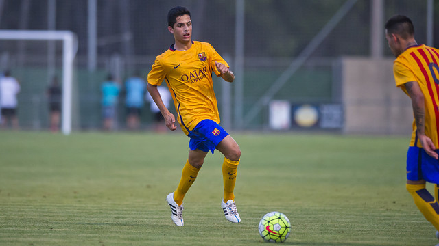 Rescisión del contrato de Bicho