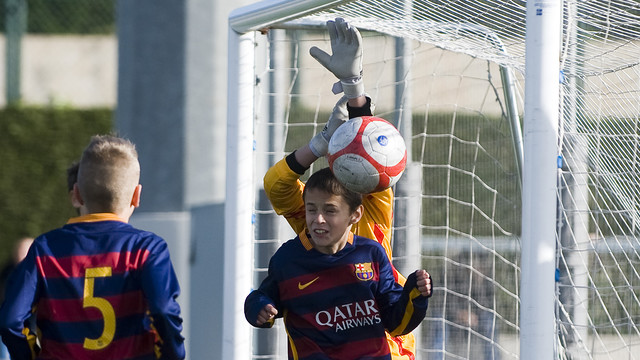 Treballar en equip per ser més forts